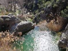 Descubre el paraje Racó de Sant Bonaventura-Els Canalons