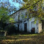 Molino de Abajo de Silvestre (Espí Hnos) copia