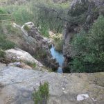WhatsApp-Image-2018-05-18-at-11.00.52