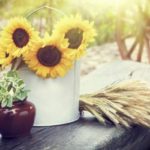 blog-casas-verano-9_mini