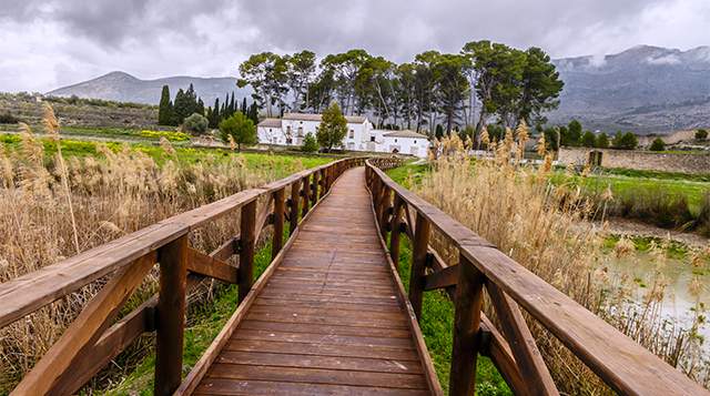 albufera de gaianes