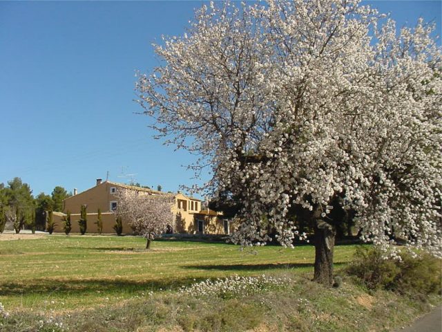 costa blanca inland country house