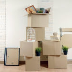 cajas para la mudanza